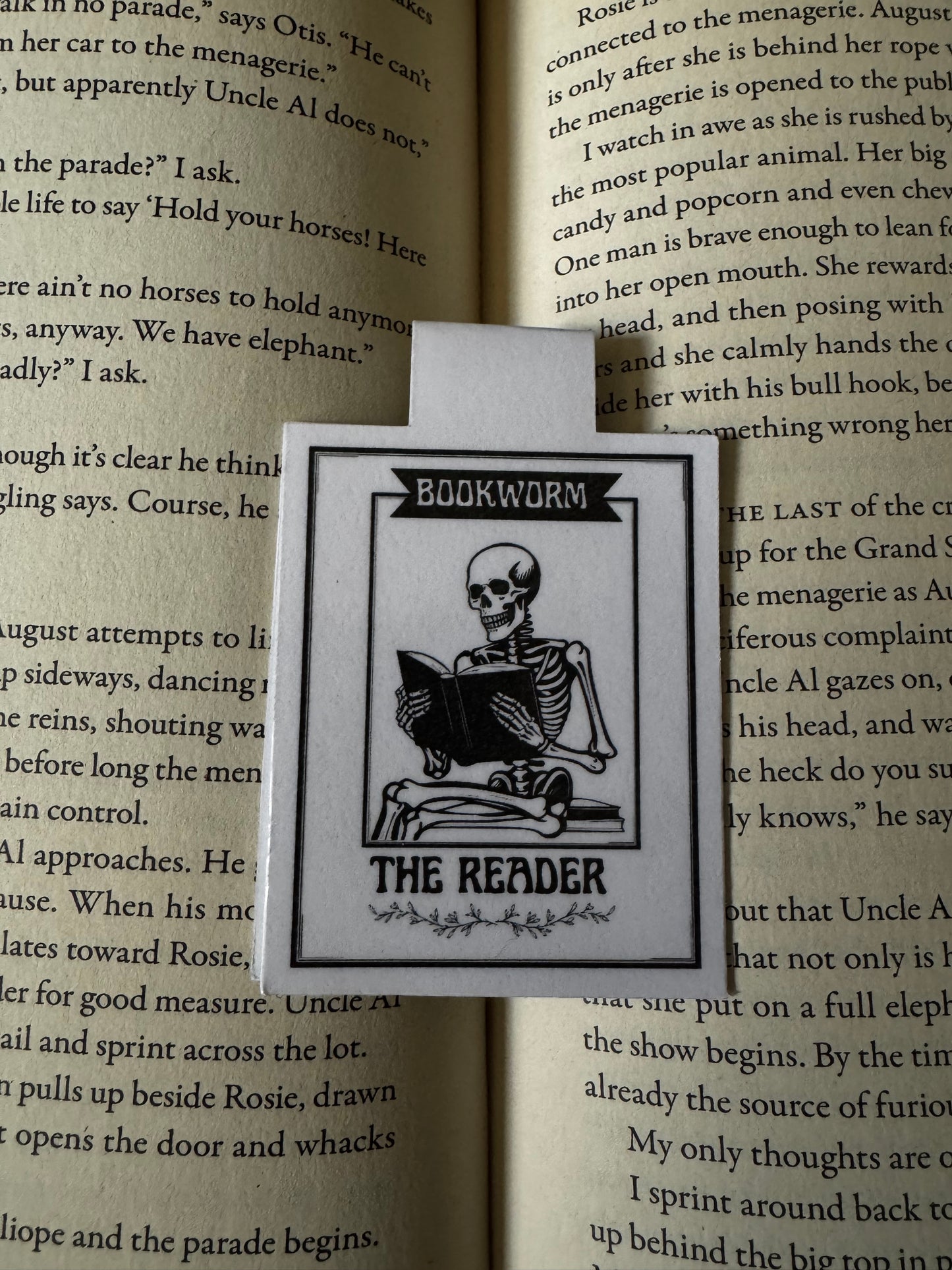 The Reader Tarot Magnetic Card